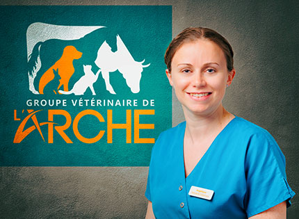 Angelique - Groupe Vétérinaire de l'Arche
