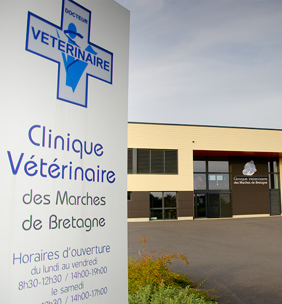 Clinique vétérinaire des Marches de Bretagne Lecousse