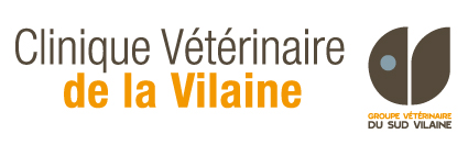 Logo Clinique Vilaine